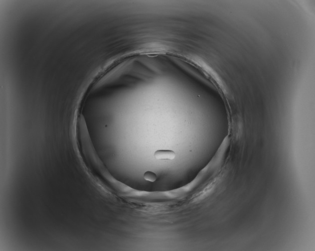 X0000088921477200706291518
