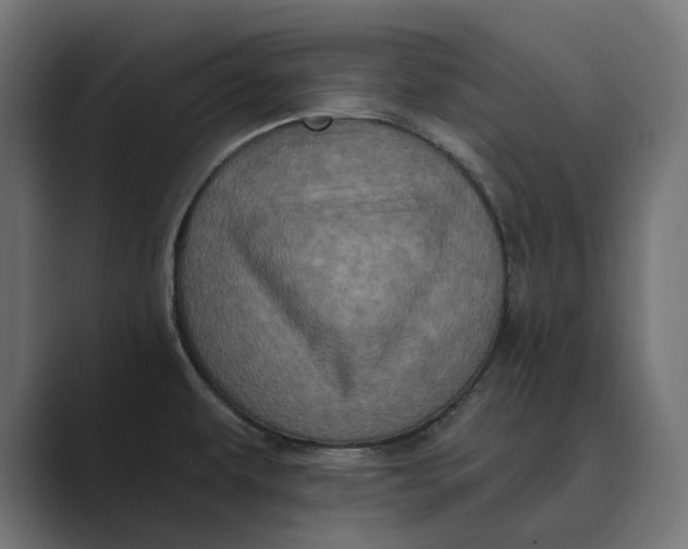 X0000088921479200706291518