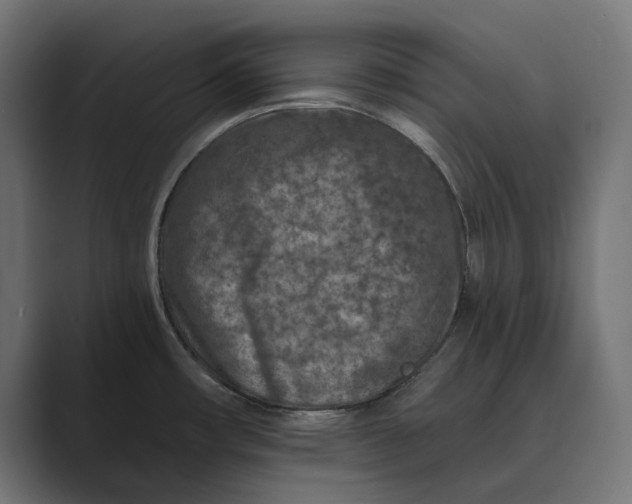 X0000088921482200706291518