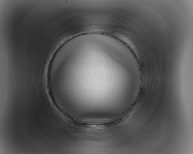 X0000088921483200706291518