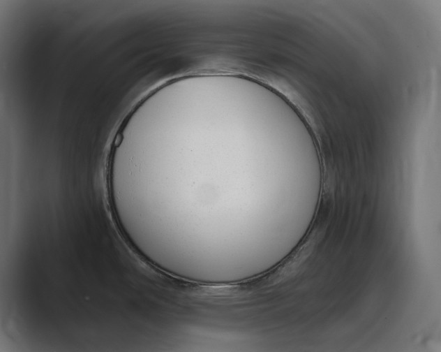 X0000088921486200706291518