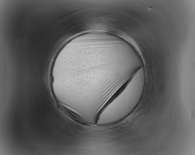 X0000088921488200706291518