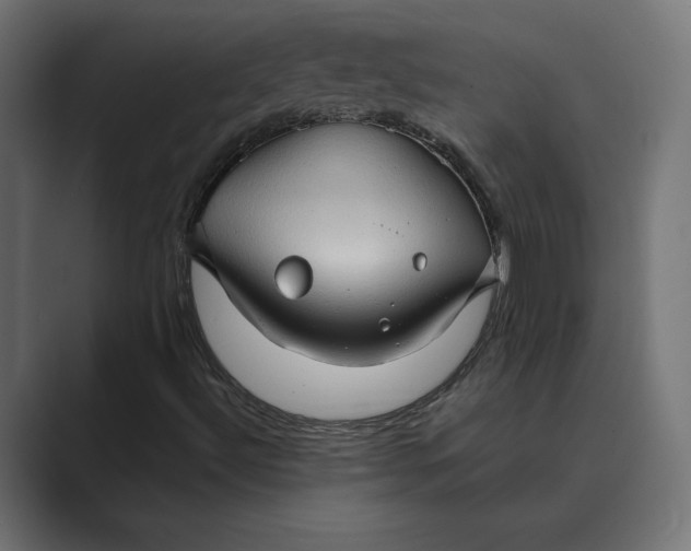 X0000088921492200706291518