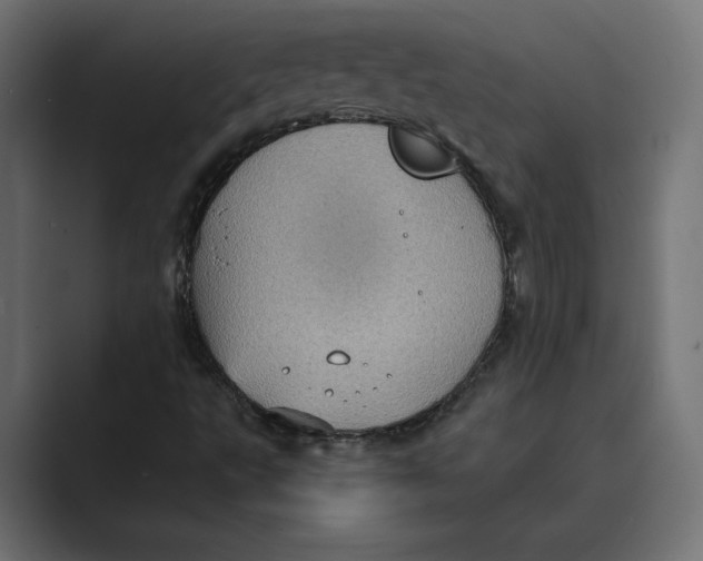 X0000088921495200706291518