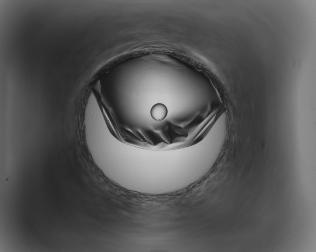 X0000088921496200706291518
