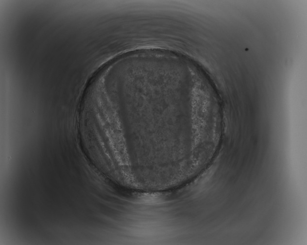 X0000088921497200706291518