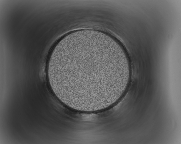 X0000088921498200706291518