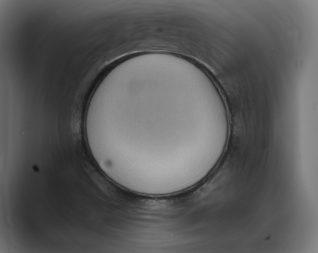 X0000088921499200706291518