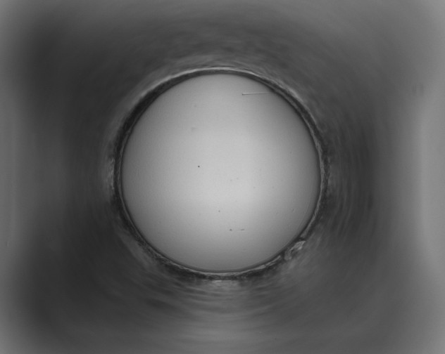 X0000088921503200706291518
