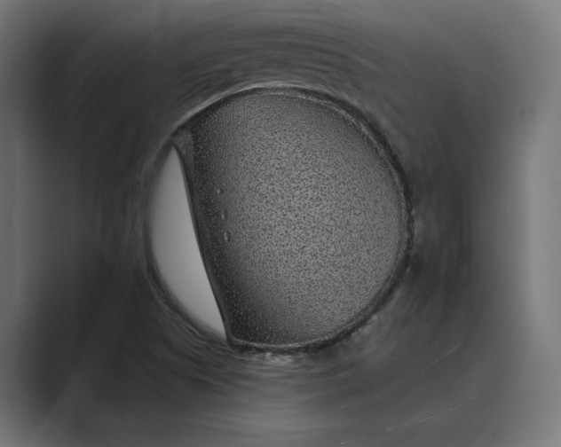 X0000088921505200706291518