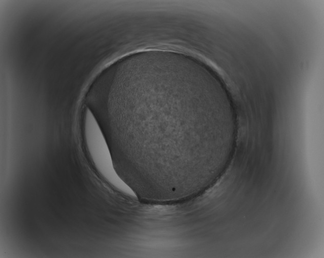 X0000088921506200706291518