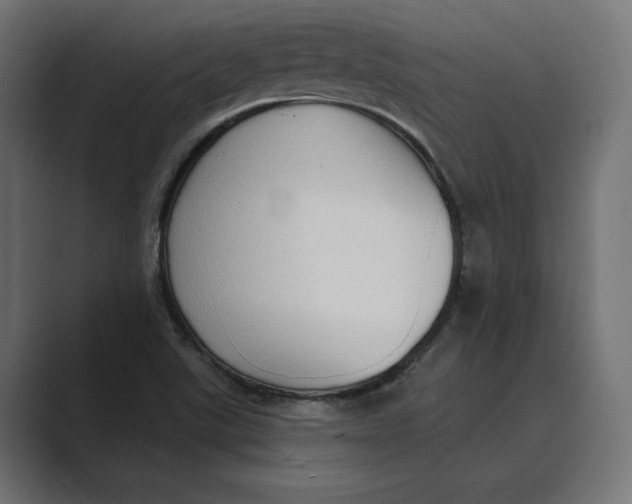 X0000088921507200706291518