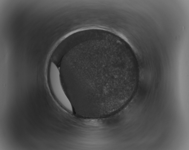 X0000088921508200706291518