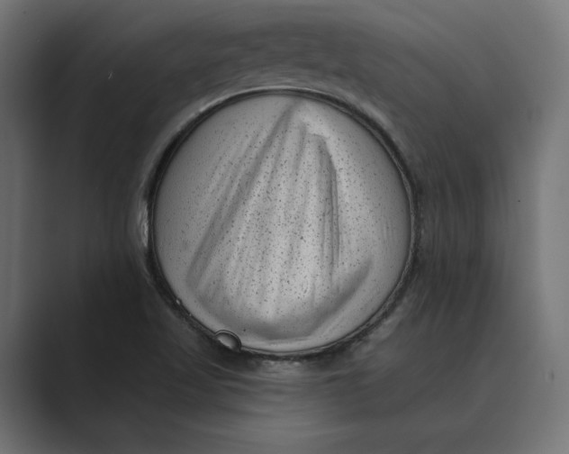 X0000088921509200706291518