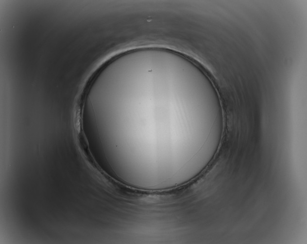 X0000088921510200706291518