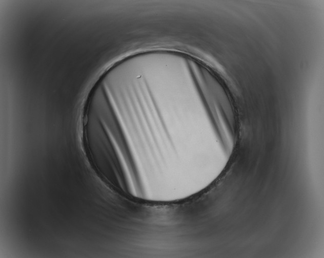 X0000088921512200706291518