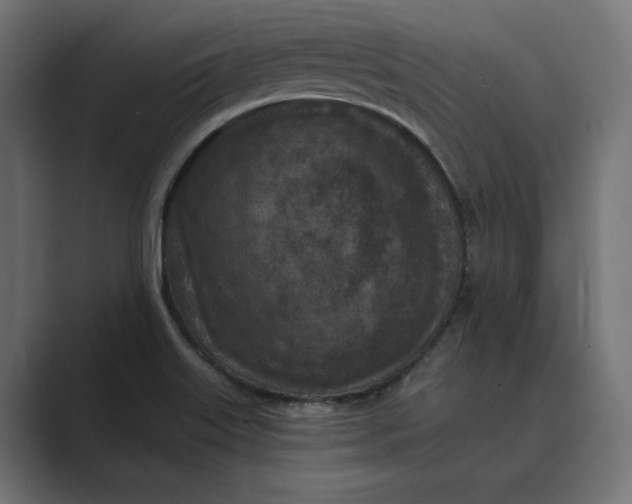 X0000088921515200706291518