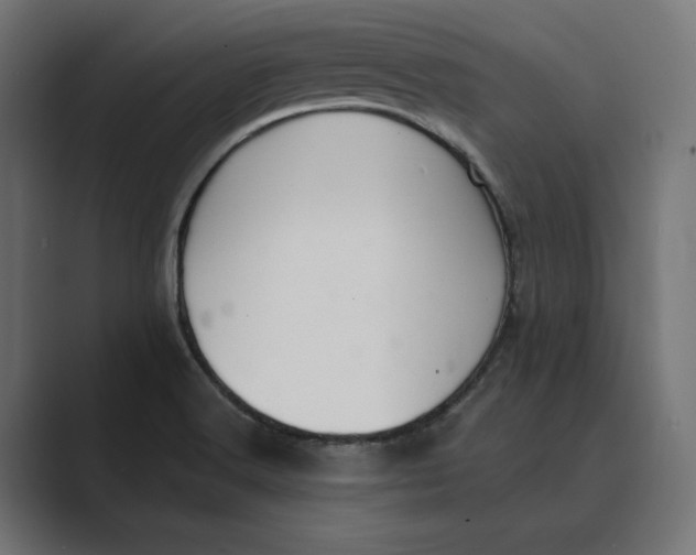 X0000088921516200706291518