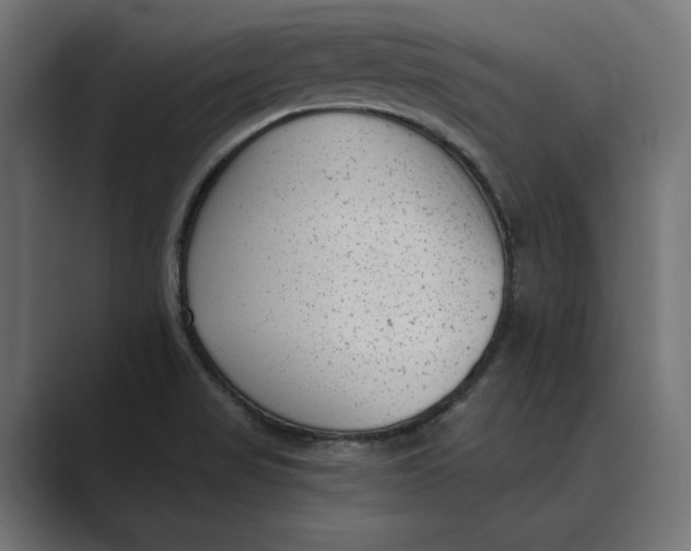 X0000088921517200706291518