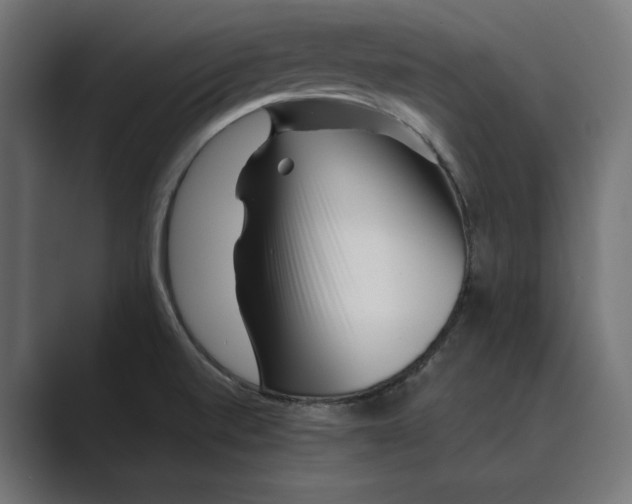 X0000088921520200706291518