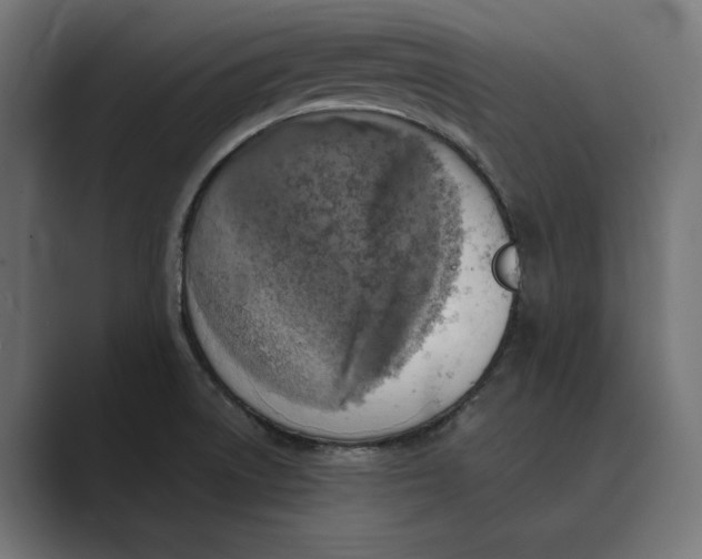 X0000088921522200706291518