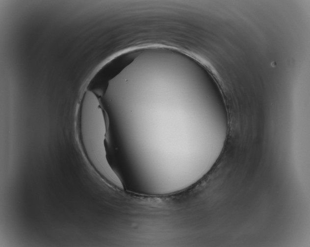 X0000088921524200706291518