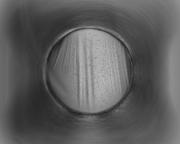 X0000088921525200706291518