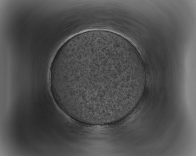 X0000088921527200706291518
