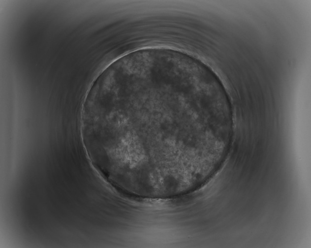 X0000088921529200706291518