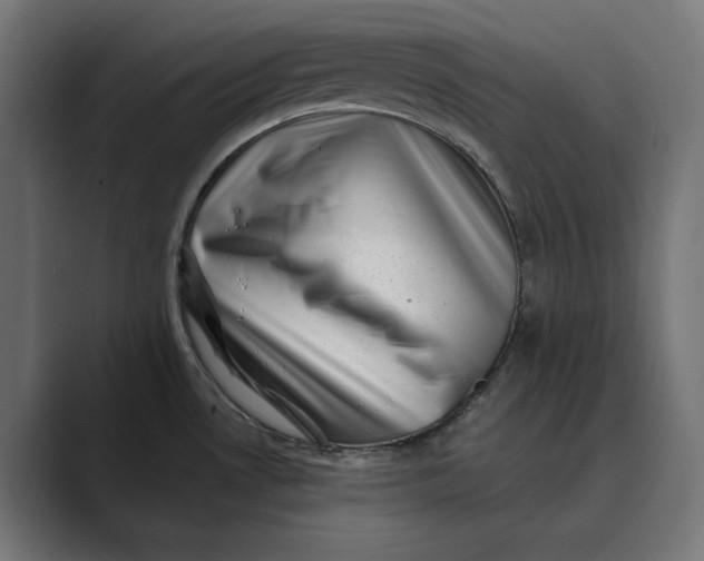X0000088921530200706291518