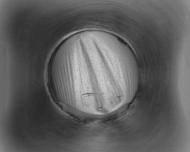 X0000088921531200706291518
