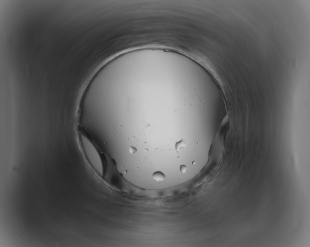 X0000088921532200706291518