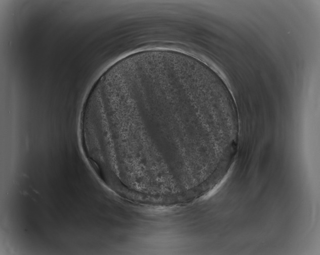 X0000088921533200706291518