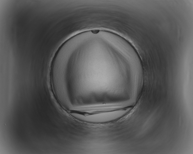 X0000088921534200706291518