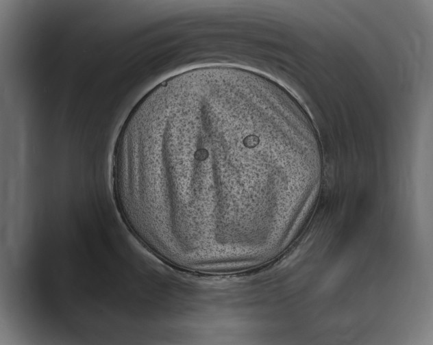 X0000088921535200706291518