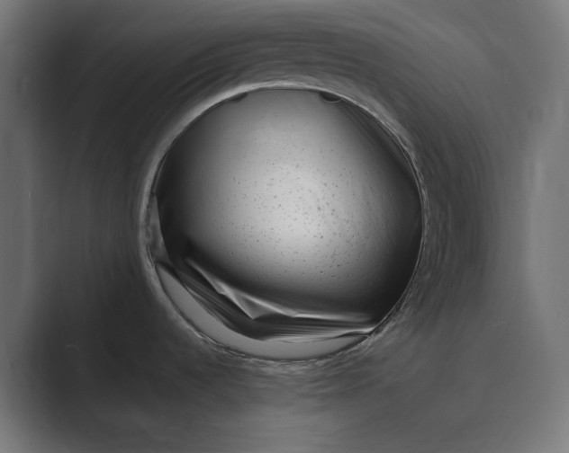X0000088921536200706291518