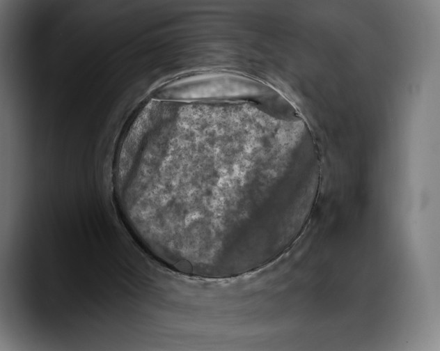 X0000088920002200707061411