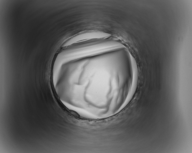 X0000088920003200707061411