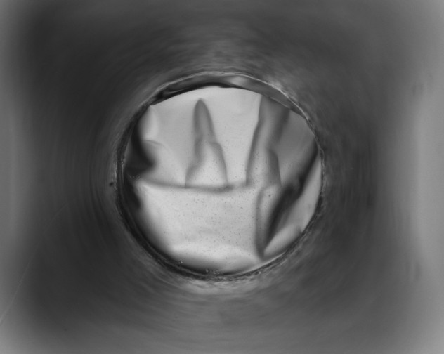 X0000088920005200707061411
