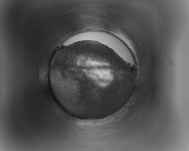 X0000088920009200707061411