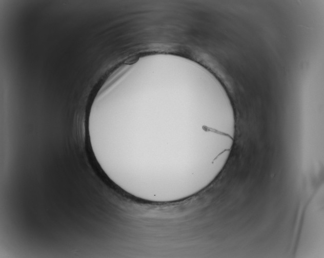 X0000088920011200707061411