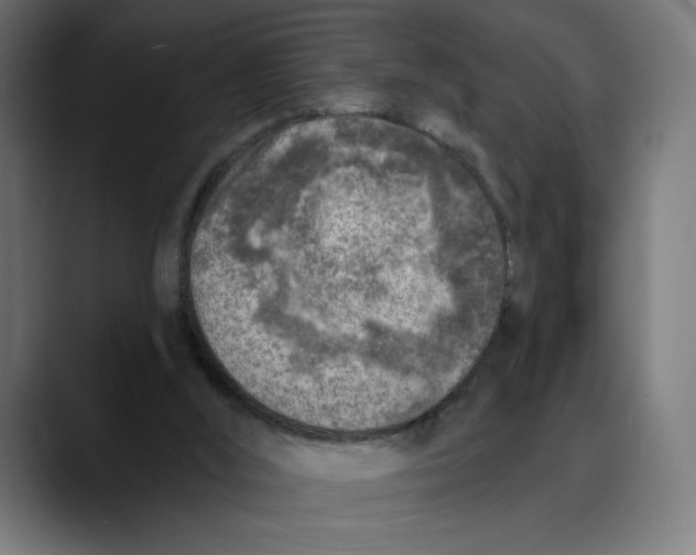 X0000088920012200707061411