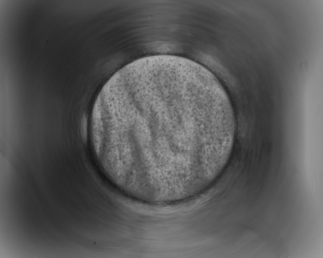 X0000088920014200707061411