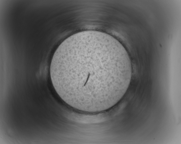 X0000088920016200707061411