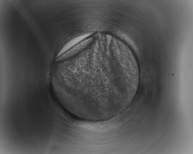 X0000088920017200707061411