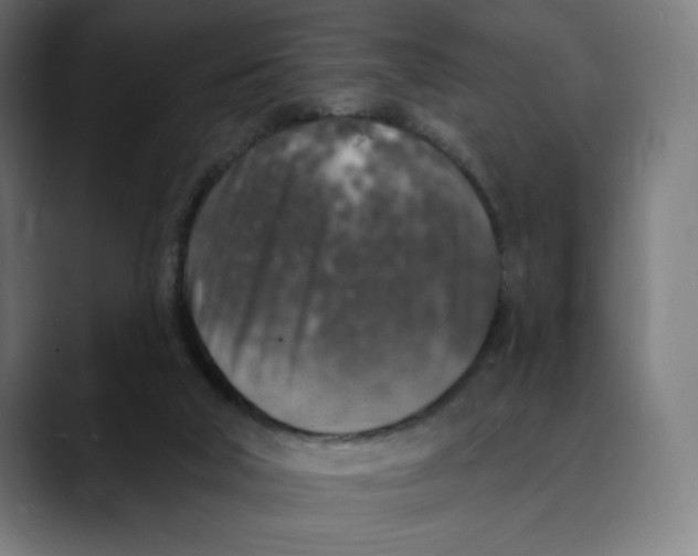 X0000088920018200707061411