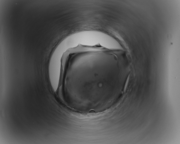 X0000088920019200707061411