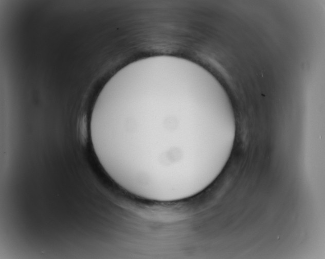 X0000088920020200707061411