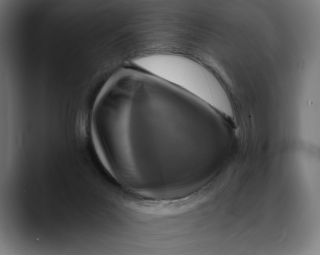 X0000088920023200707061411