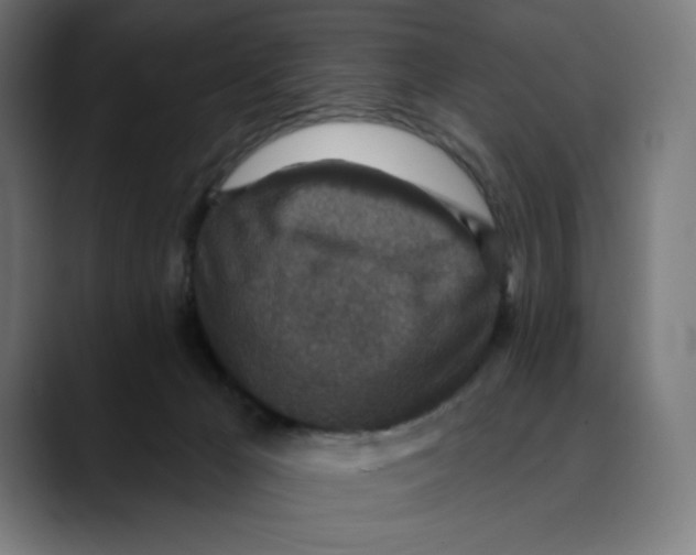 X0000088920029200707061411